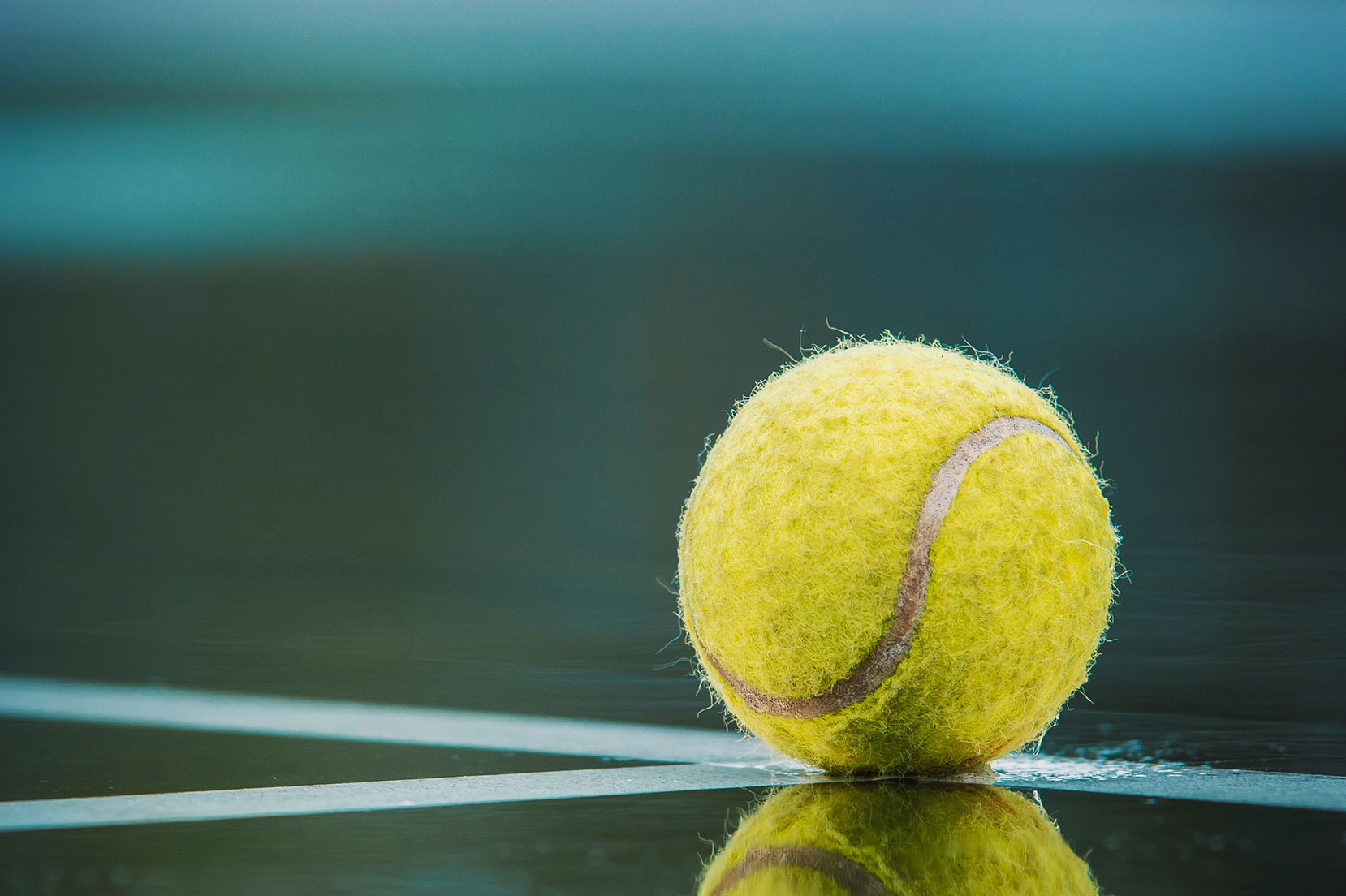 pallina da tennis