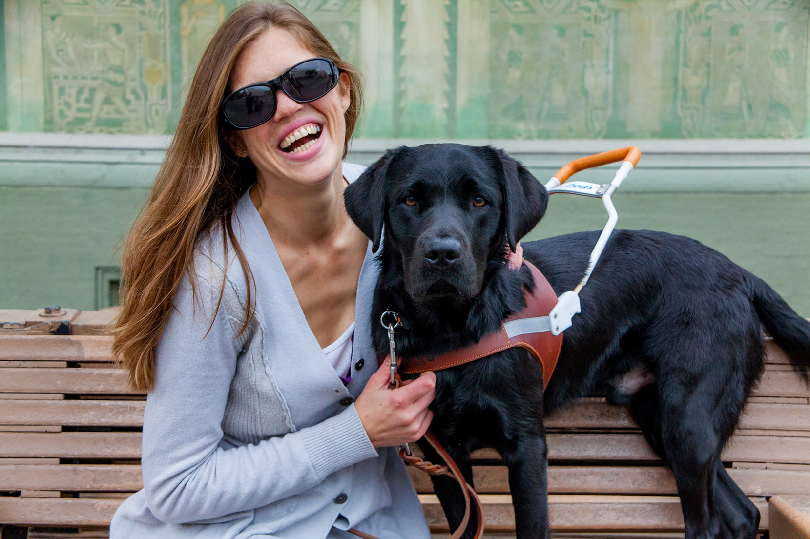 cane guida per non vedenti