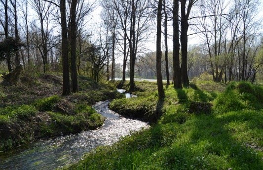 Parco dell'Oglio Nord