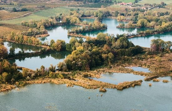 Torbiere del Sebino