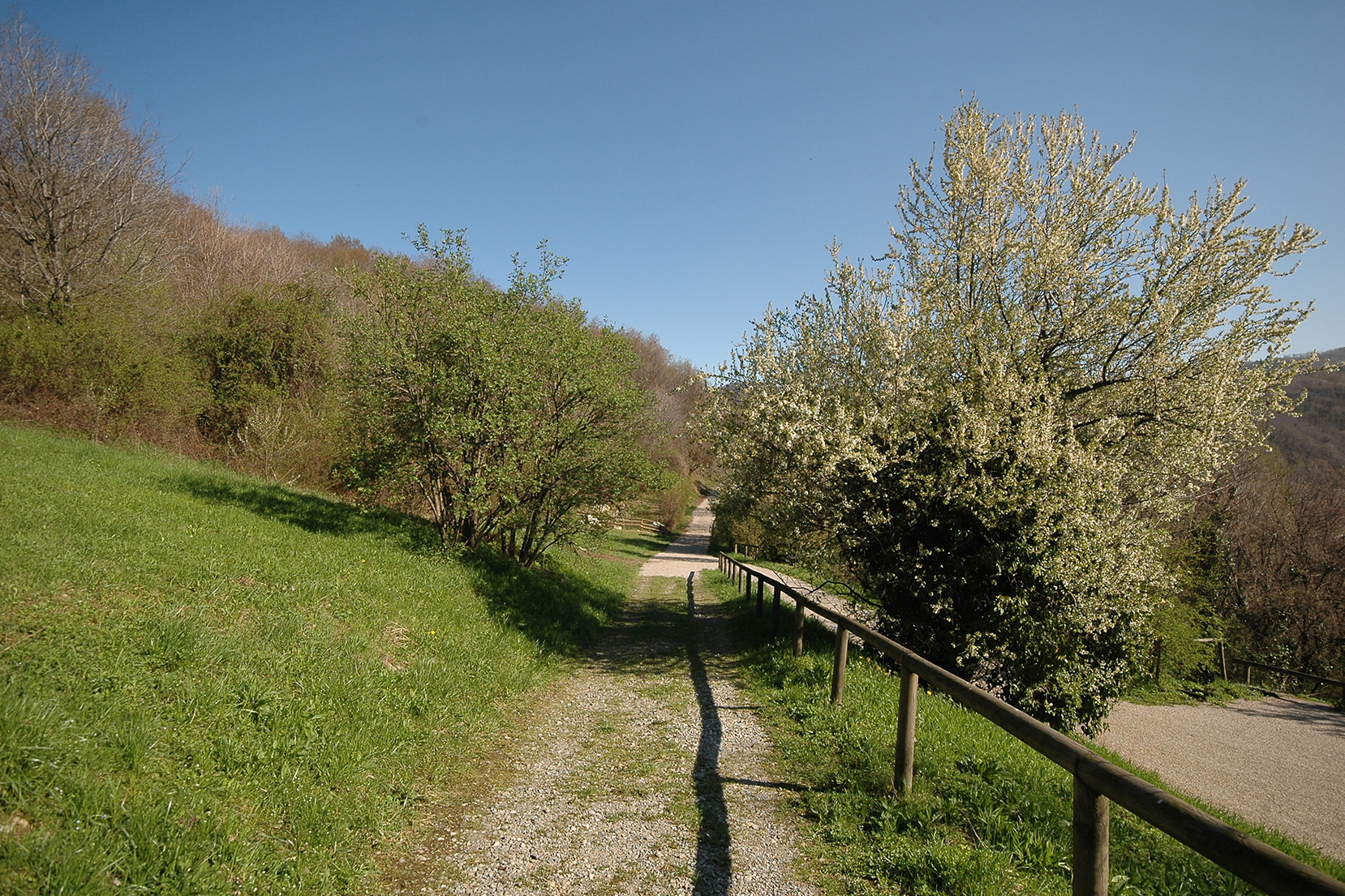 Dettaglio del Parco dei Colli di Bergamo