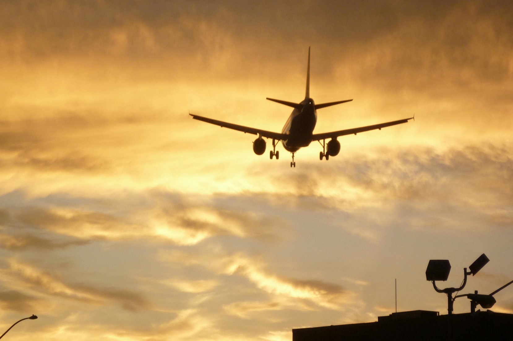by plane